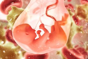 Birth Patterns