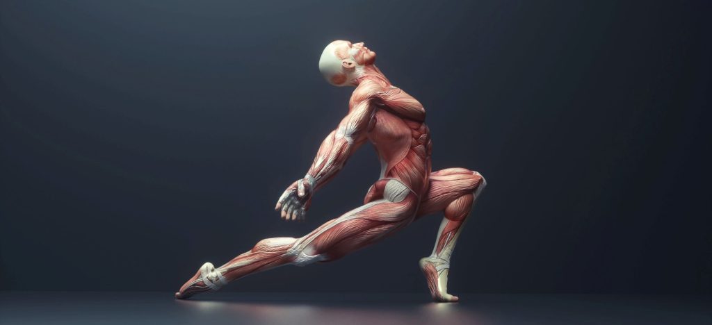 Sports An Spinal Sports And Spinal Group